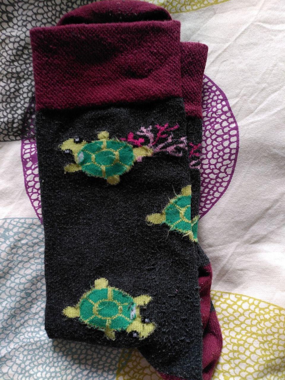 calcetin_tortugas.jpg calcetin_tortugas.jpg