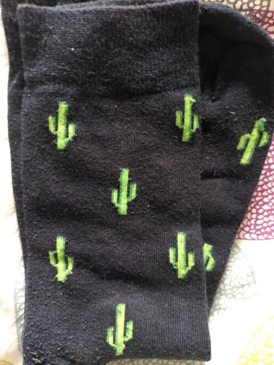 calcetin_cactus.jpg calcetin_cactus.jpg