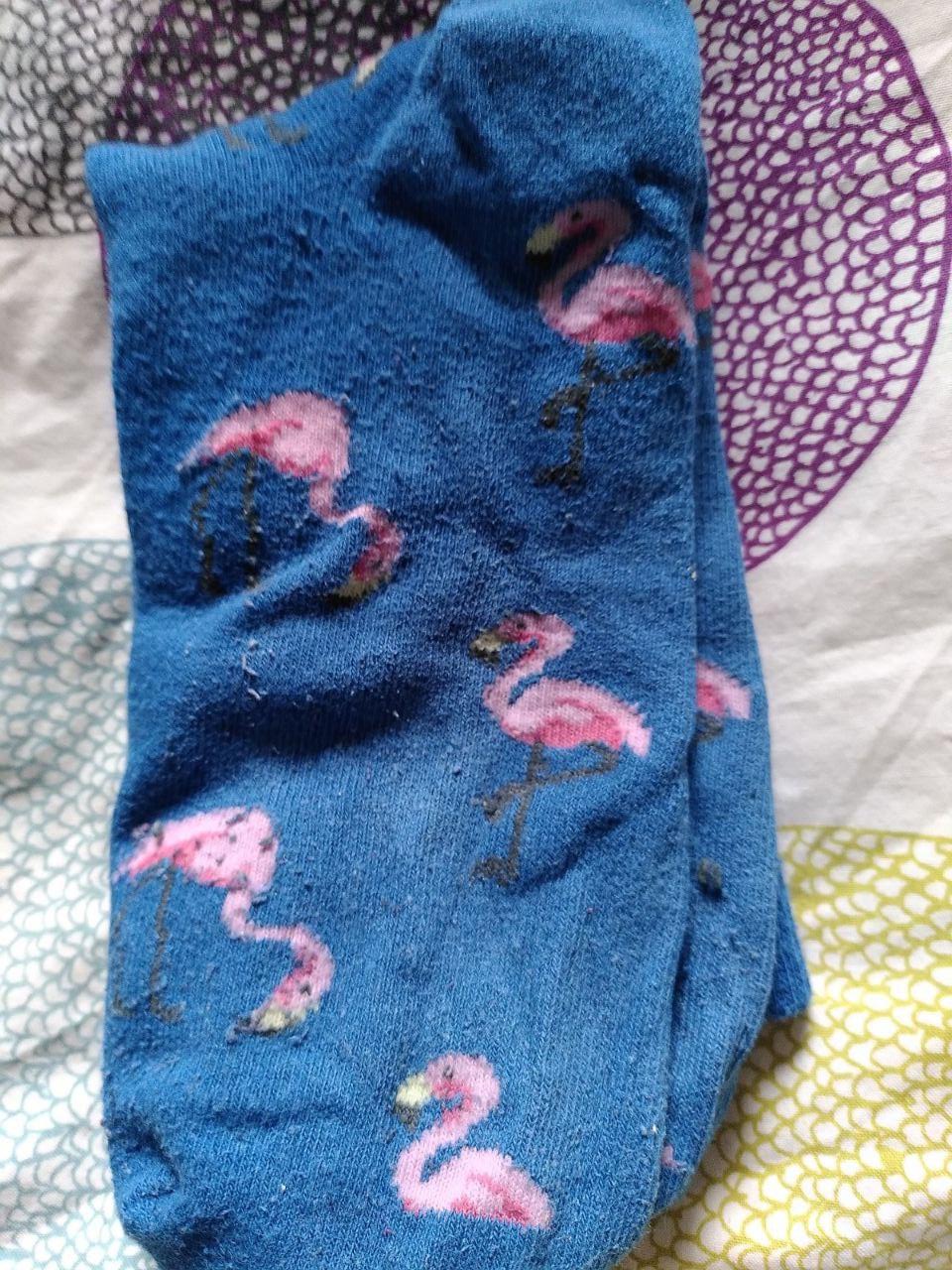 calcetin_flamencos.jpg calcetin_flamencos.jpg