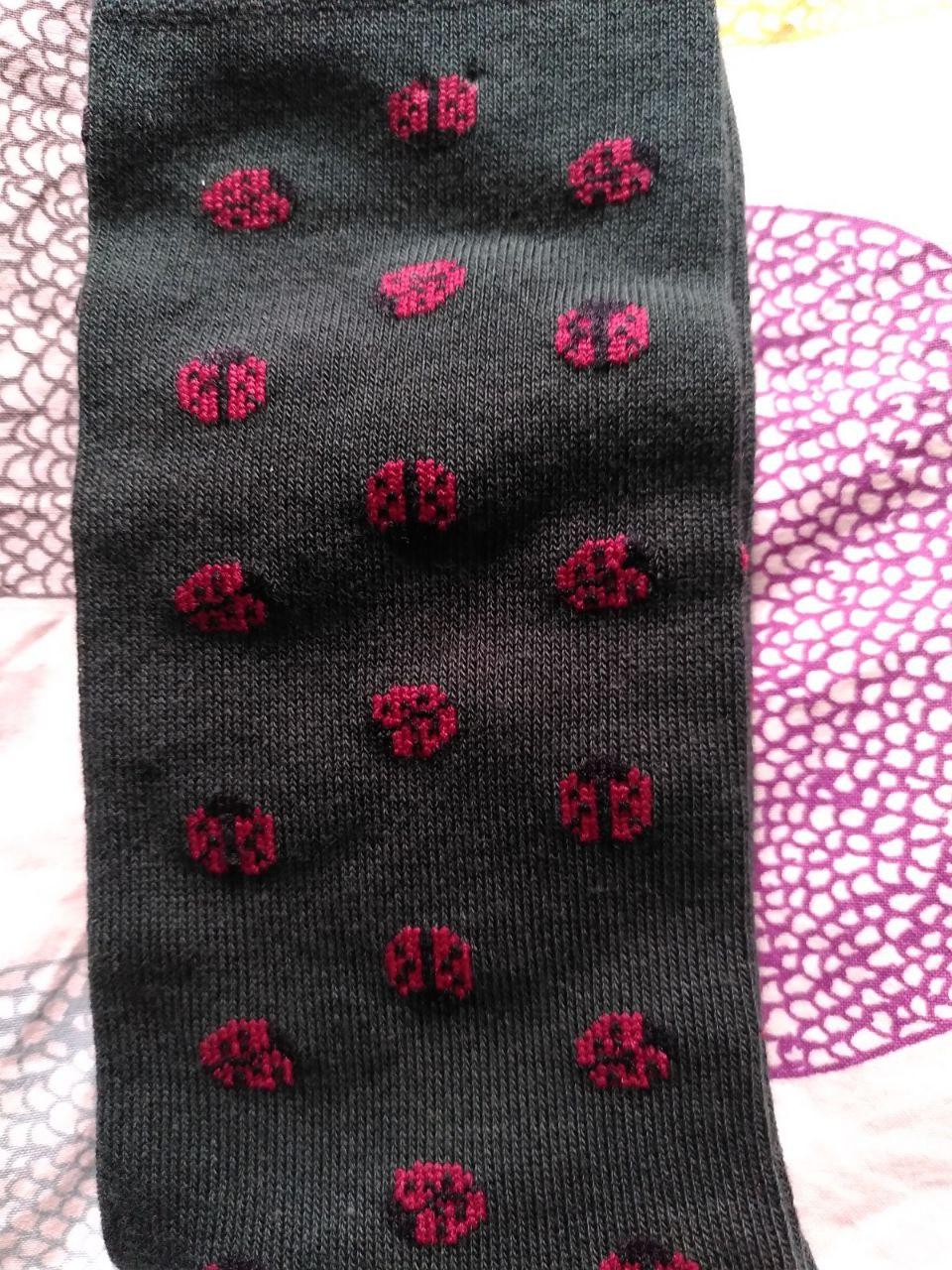 calcetin_mariquita.jpg
